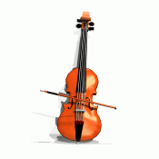 Viyolonsel & Cello (1)